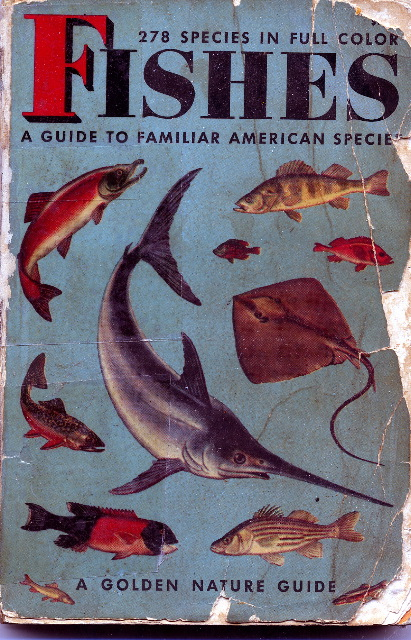 Dr. Shoemaker's guide on American fishes></p>

<BR>


<BR>

<img src=